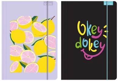 Beniamin, teczka z gumką A4, priplak, 1 szt.