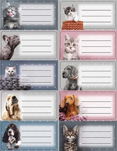 Beniamin, The Sweet Pets, naklejki na zeszyty