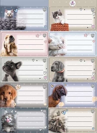 Beniamin, The Sweet Pets, naklejki na zeszyty pasek