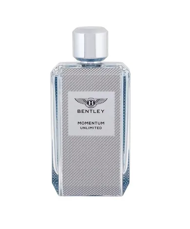 Bentley, Momentum Unlimited, woda toaletowa, spray, 100 ml