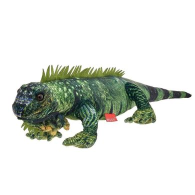 Beppe, Iguana, maskotka, 61 cm