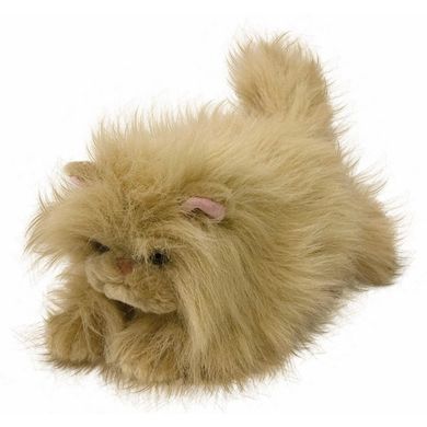 Beppe, Kot Biszkopt, maskotka, beżowy, 25 cm