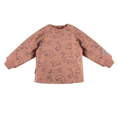 Bluza chłopięca, brązowa, pieski, Eevi