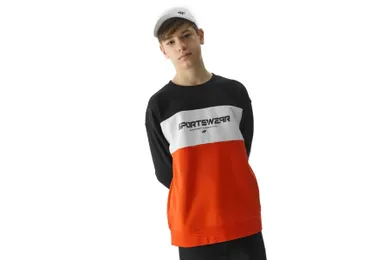 Bluza chłopięca, mix, 4F
