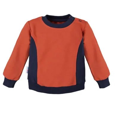 Bluza chłopięca, pomarańczowa, Adventure in the woods, Eevi