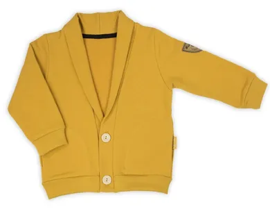 Bluza chłopięca, rozpinana, musztardowa, Nicol