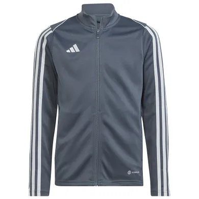 Bluza chłopięca, rozpinana, szara, Adidas