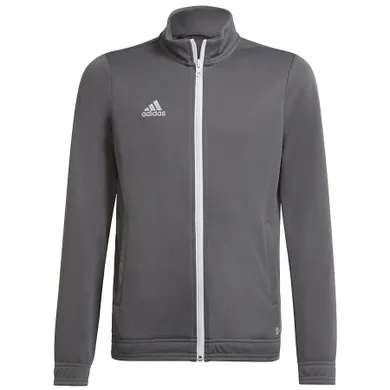 Bluza chłopięca, rozpinana, szara, Adidas Entrada 22