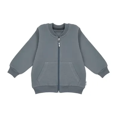 Bluza chłopięca, rozpinana, szara, Nicol