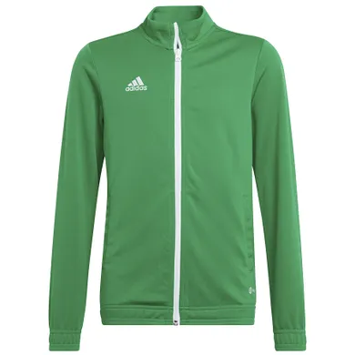 Bluza chłopięca, rozpinana, zielona, Adidas Entrada 22