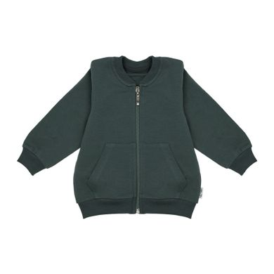 Bluza chłopięca, rozpinana, zielona, Nicol