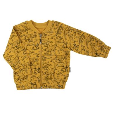 Bluza chłopięca, rozpinana, żółta, Nicol