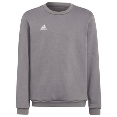 Bluza chłopięca, szara, Adidas