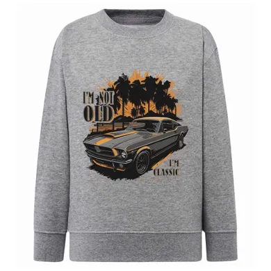 Bluza chłopięca, szara, Tup Tup