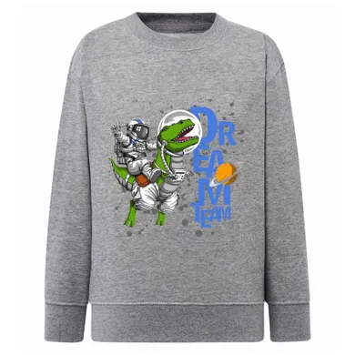 Bluza chłopięca, szara, Tup Tup