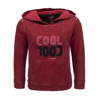 Bluza chłopięca z kapturem, czerwona, Lief