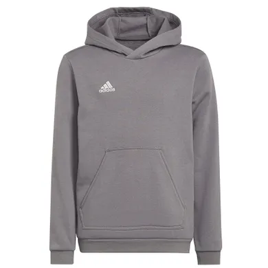 Bluza chłopięca z kapturem, szara, Adidas Entrada 22