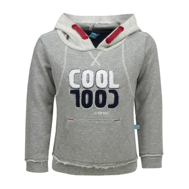 Bluza chłopięca z kapturem, szara, Lief