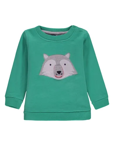 Bluza chłopięca, zielona, Tom Tailor