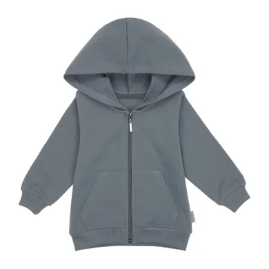 Bluza dziecięca z kapturem, rozpinana, szara, Nicol