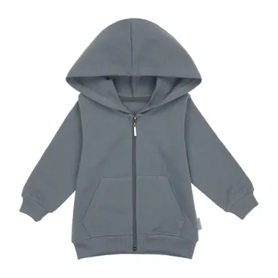 Bluza dziecięca z kapturem, rozpinana, szara, Nicol