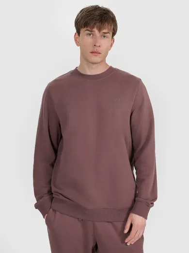 Bluza męska, brązowa, 4F