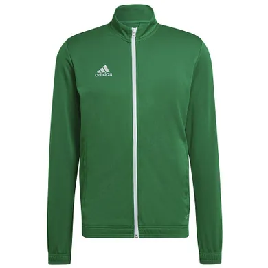 Bluza męska, rozpinana, zielona, Adidas Entrada 22 Track Jacket