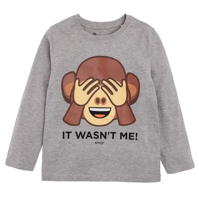 Bluzka chłopięca z długim rękawem, szara, małpka, Emoji