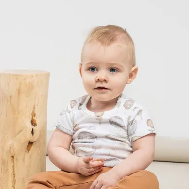 Body chłopięce z krótkim rękawem, białe, Nicol