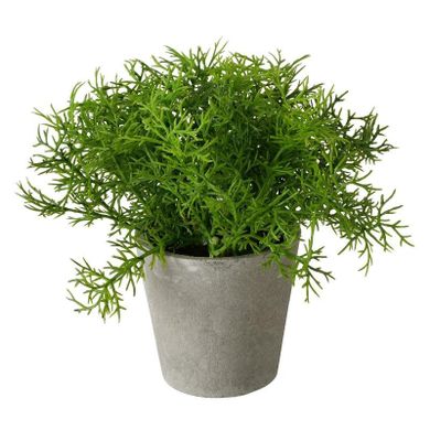 Boltze Home, Fern, sztuczna roślina w cementowej doniczce, 17 cm