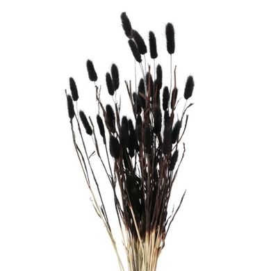 Boltze Home, ozdobne gałązki do wazonu, suszone, 70 cm