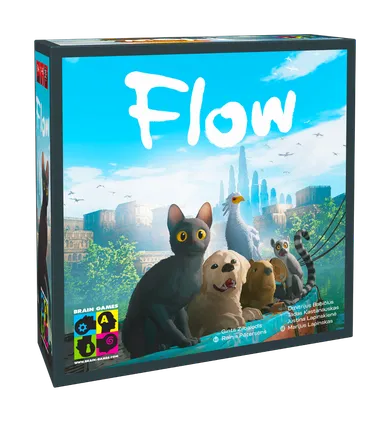 Brain Games, Flow, gra kooperacyjna