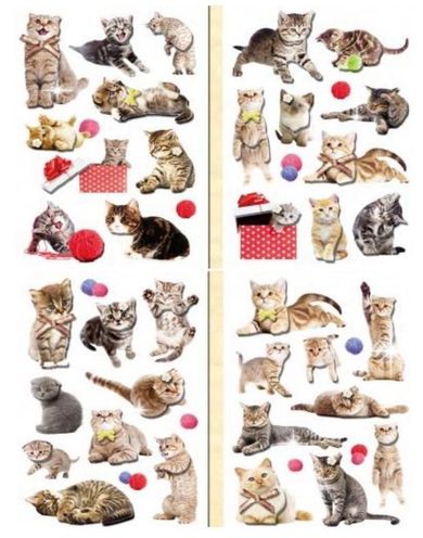 Brewis, naklejki 3D, koty, 1 zestaw