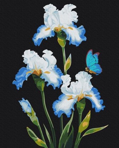 Brushme, malowanie po numerach, irysy, 40-50 cm