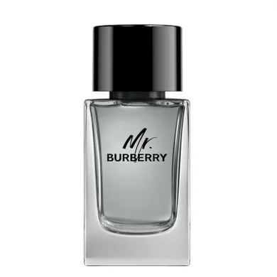 Burberry, Mr. Burberry, woda toaletowa, spray, 100 ml
