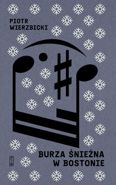 Burza śnieżna w Bostonie