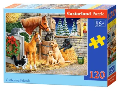 Castorland, Gathering Friends, puzzle, 120 elementów