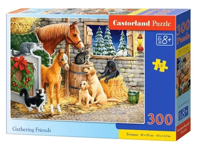 Castorland, Gathering Friends, puzzle, 300 elementów