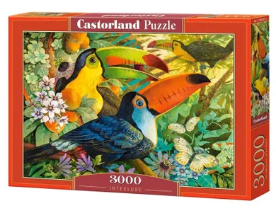 Castorland, Interlude, puzzle, 3000 elementów