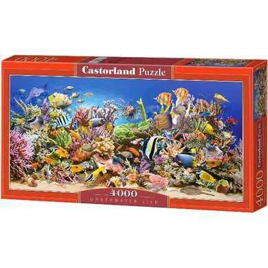 Castorland, Podwodne życie, puzzle, 4000 elementów