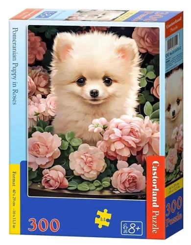 Castorland, Pomeranian Puppy in Roses, puzzle, 300 elementów