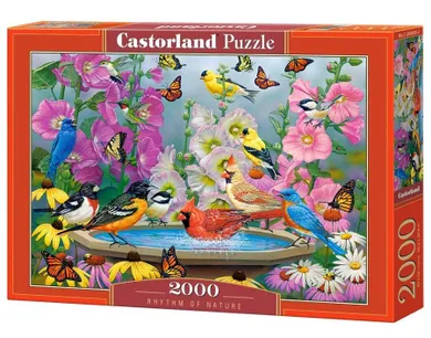 Castorland, Ptaki, Rytm natury, puzzle, 2000 elementów