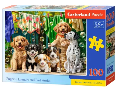 Castorland, Puppies, Laundry And Bird Antics, puzzle, 100 elementów