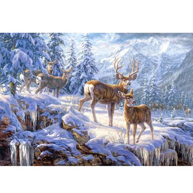 Castorland, Światło zimą w górach, puzzle, 1000 elementów