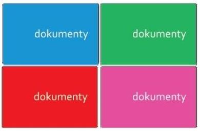 Centrum, okładka na dokumenty, Duo PVC, Modern