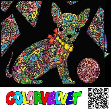 Chihuahua. Kolorowanka welwetowa, 47-35 cm