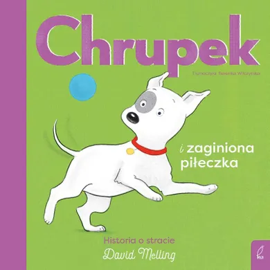 Chrupek i zaginiona piłeczka