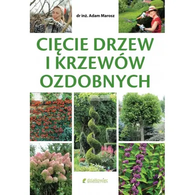 Cięcie drzew i krzewów ozdobnych