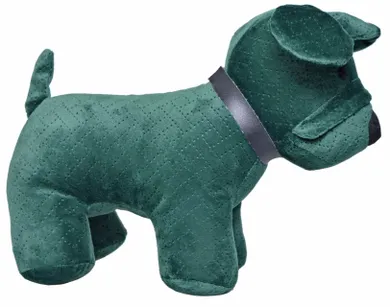 Ciężarek pies, zielony