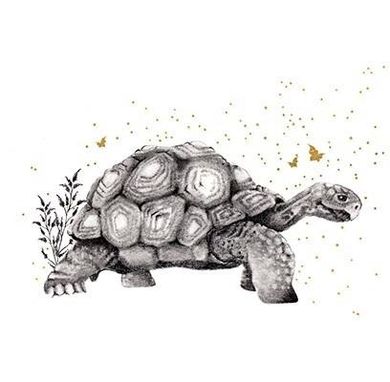 Clear Creations, karnet, złocony kwadrat, Żółw